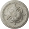 Ekena Millwork Acanthus Ceiling Medallion, Hand-Painted Pot of Cream Crackle, 11 3/8"OD x 2"P CM11ACPCC - alternate 1